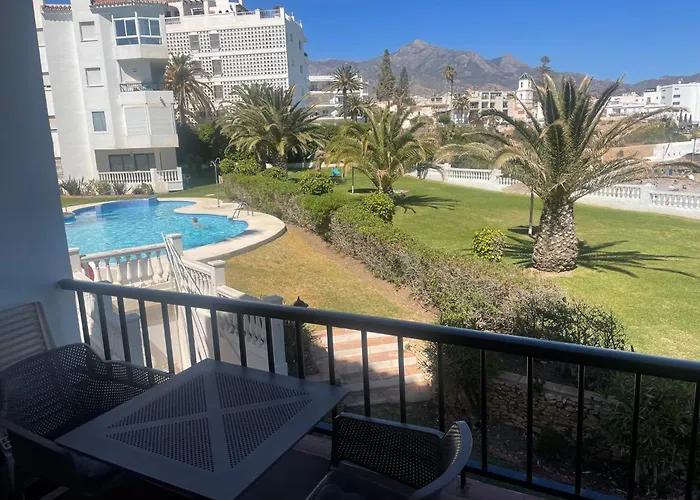 Palmeras 8 Menyber
