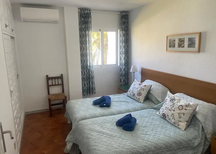 Palmeras 8 Menyber